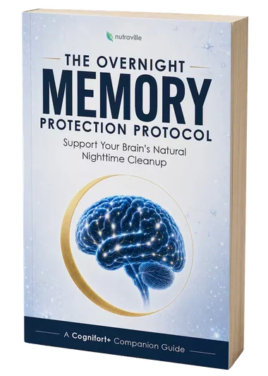 The Overnight Memory Protection Protocol digital bonus guide cover