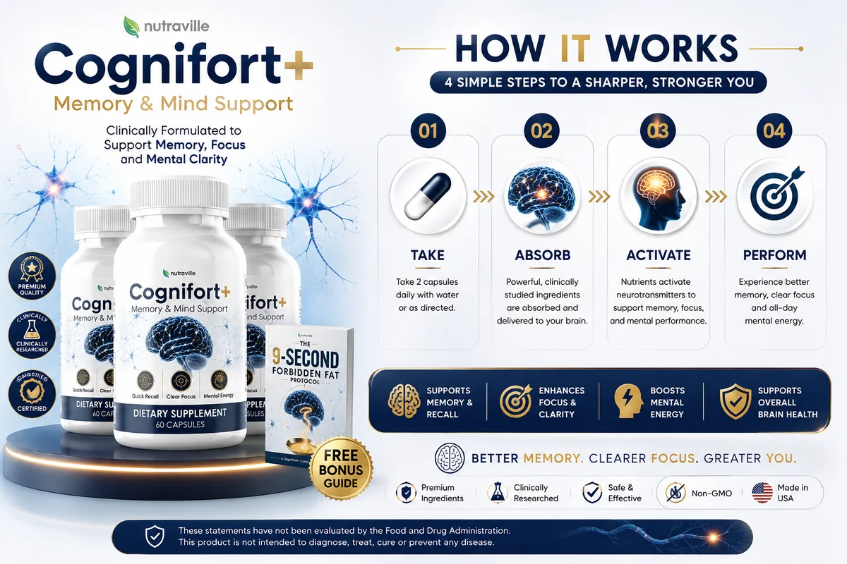 CogniFort how it works overview